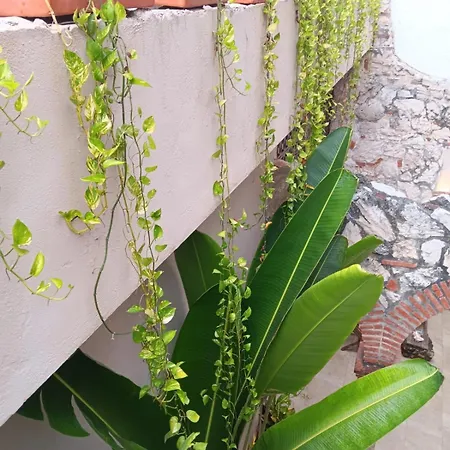 Recien Restaurada En Getsemani Habitación en casa particular